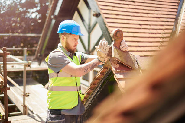 Professional Roofing Contractor in Round Rock, TX
